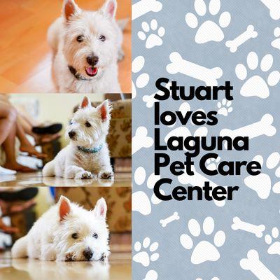 Laguna Pet Care Center