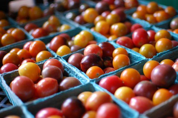 We grow 20+ varieties of heirloom tomatoes.