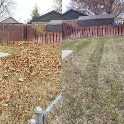 Richland Leaf Clean.