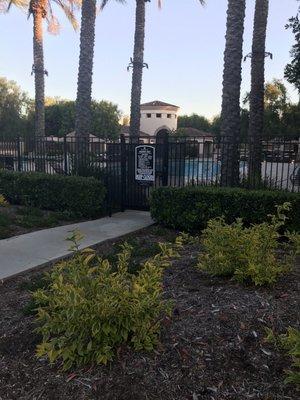 Santa Barbara Gardens Pool