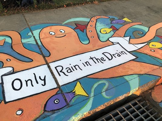 Storm Drain Art & Education for schools & communities. Providing MS4 permit requirements for environmental outreach & education.