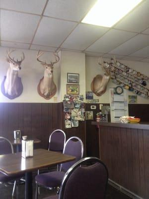 Deer heads and donuts.