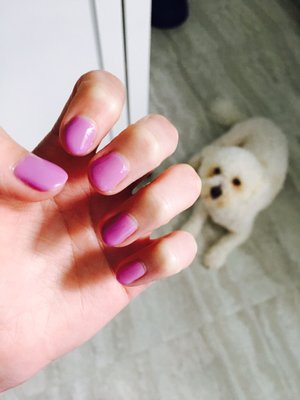 Lilac gel