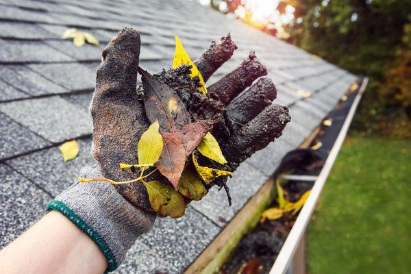 Gutter Cleaning is very messy.