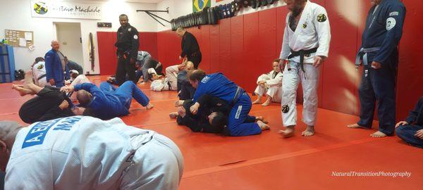 Top Game Brazilian jiu-jitsu