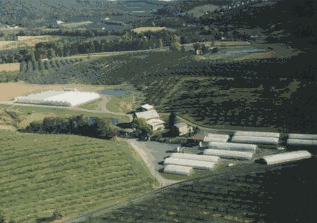 An aerial shot of our 62,000 square foot facility and farm.