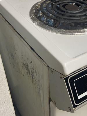 Filth in our cabin. Broken refrigerator door holders, broken towel bar in bathroom.