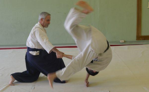 The Dojo  - Traditional Japanese Martial Arts