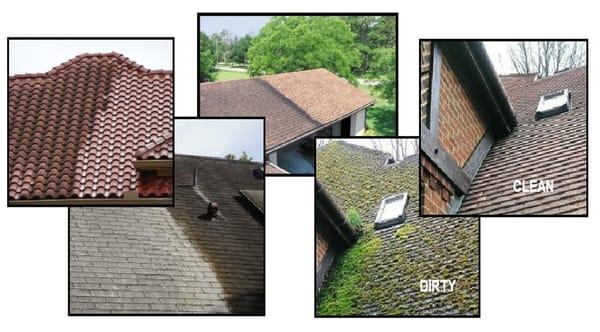 Commercial and Residential Roof Cleaning