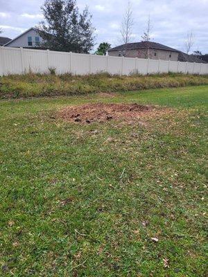 Tree removed and stump