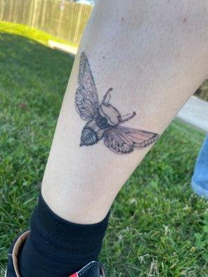 Bug tat