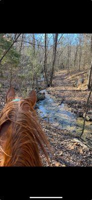 Book a trail ride along our scenic creek beds.