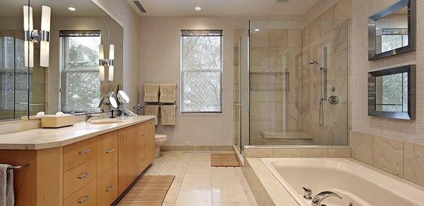 Vision: Mirror & Shower Door