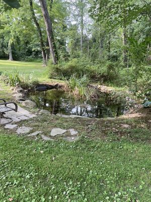 Totally clear pond.