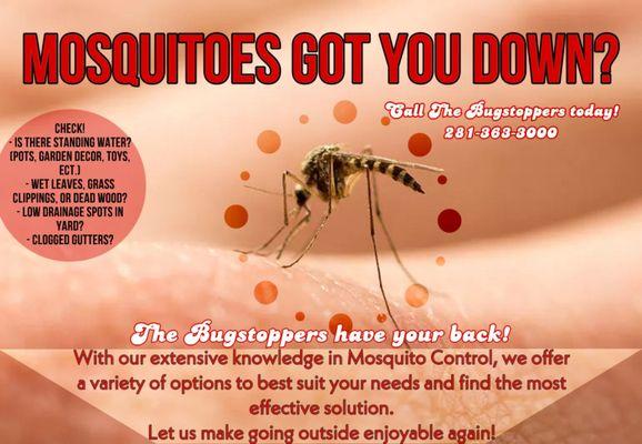 Bug Stoppers Pest Control