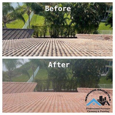 Roofing Soft Washing