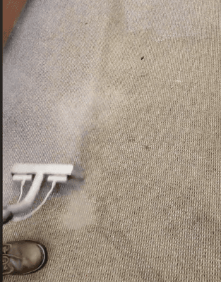 Carpet Steam Cleaning