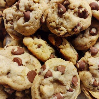 Chocolate Chip Walnut Fresh Baked Daily