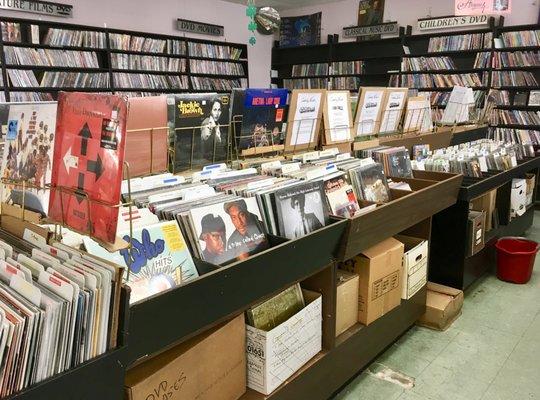 Huge vinyl selection.