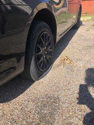 I said there was an issue with my tire. They "checked it out" and didn't see anything & I woke up to this this morning & a postponed trip.