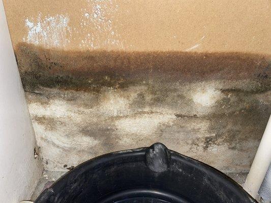 Mold damage inside the wall from an HVAC system possible cracked drain pan (condensate pan) that's part of the air conditioning unit.