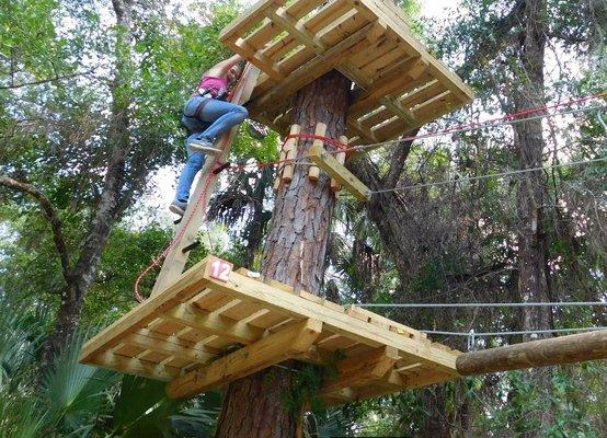 Climb to new heights at Tree Top Adventure ta Faith Haven in Crystal River Florida.