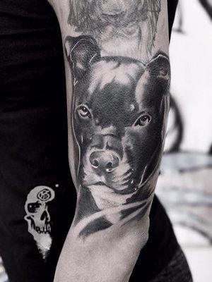 Always love doing portraits of clients dogs. Bookings abgarzatattoos@yahoo