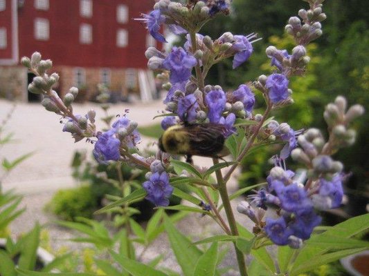 Seasons Past Farm & Gardens