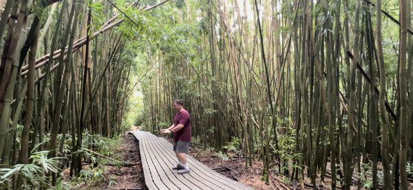 Clear Tai Chi form at the Bamboo Forest on the Pipiwai Trail in Maui.