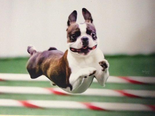 Agility!