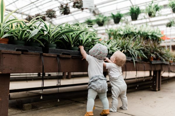 Green Valley Greenhouse