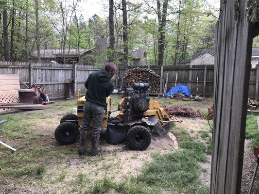 Grinding the stump