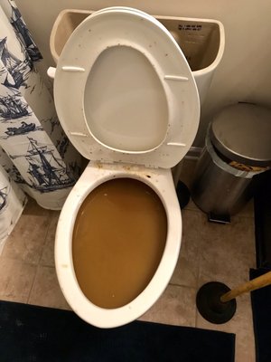 Clogged toilet