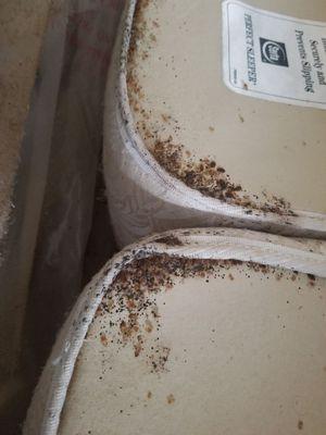 Bed Bugs Suck, Pest Prep does not!