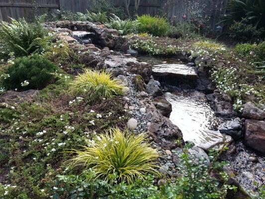 Medium sized waterfall feature with landscaping