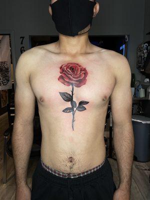 Color realism red rose chest tattoo