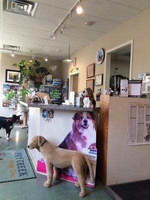 Fry Creek Animal Clinic