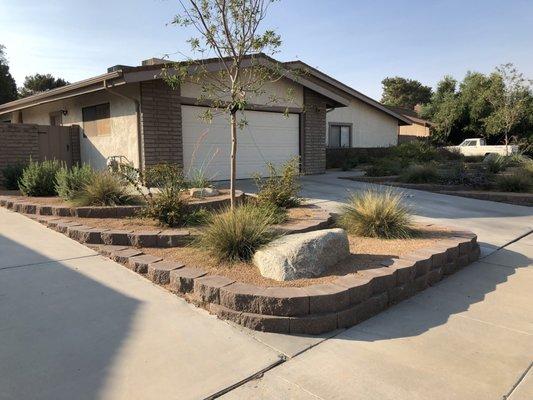 Front yard xeriscape with dry stack blocks and drought tolerant plants and trees