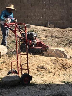 Grinding stump