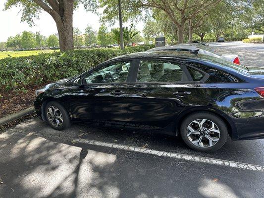 Downgraded from Toyota Corolla to a Kia Forte that pulls to the right. But the Apple CarPlay worked flawlessly!