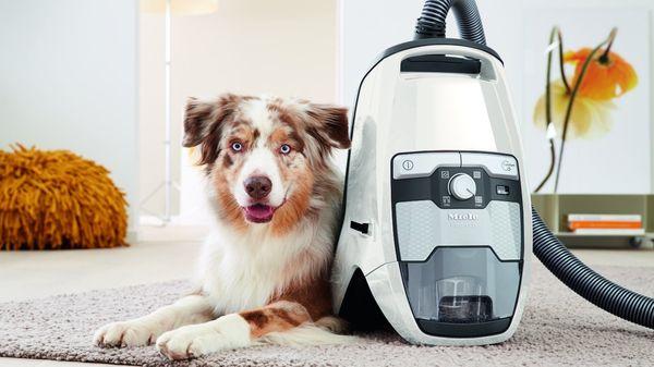 Saniway Vacuum Cleaner Company