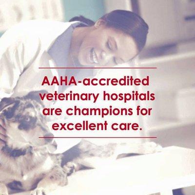 We're in our 25th year as an American Animal Hospital Association accredited practice.