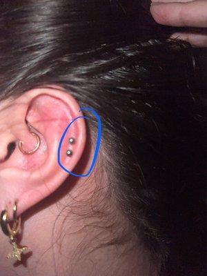 Obviously the two piercings that I circled are the ones I received.