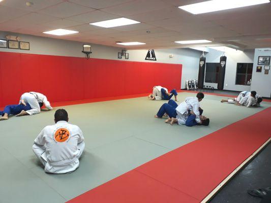 Jiu-Jitsu Fundamentals Class