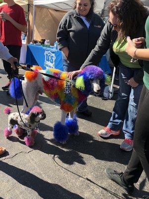 The famous painted dogs!  Always a crowd favorite.