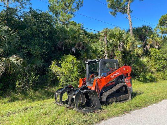 Land Clearing Services in Naples, Fl