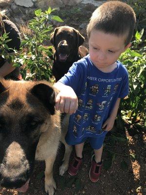 My boy and his dogs.