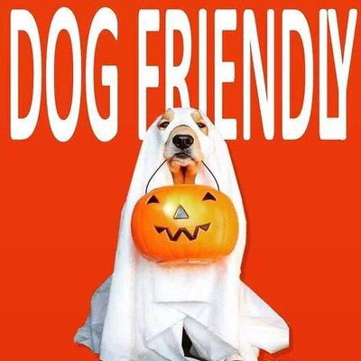 Dog Friendly Pumpkin Patch. Free Admission To Pumpkin Patch, Corn stalks, Carving Kits,