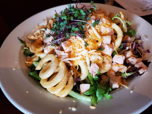 Chicken salad with curly fries.