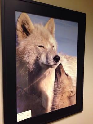 "Wolf Harmony" poster